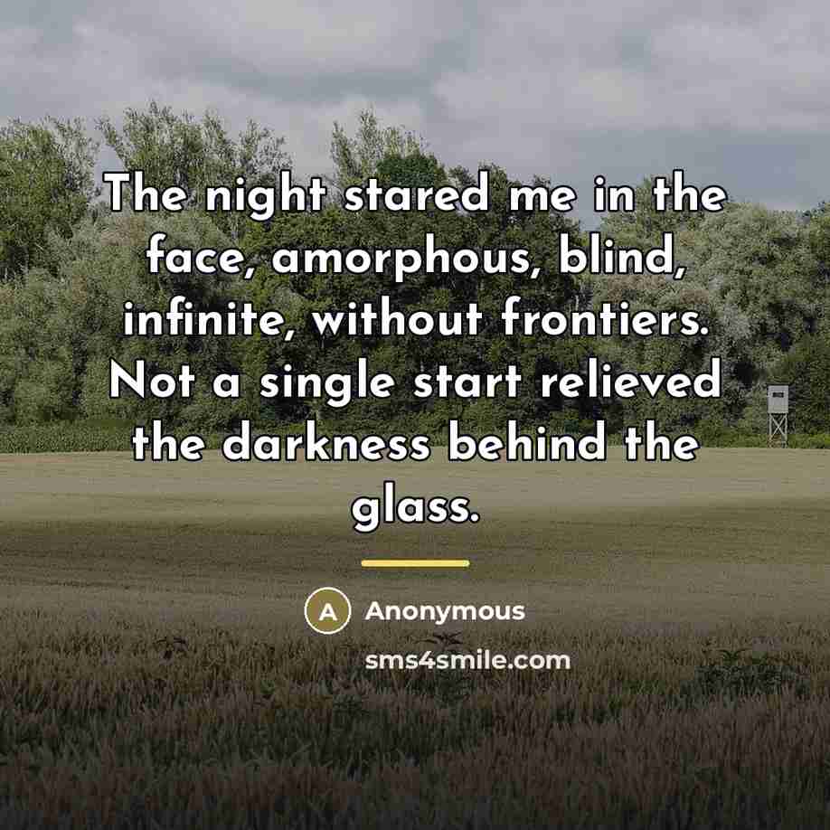 “The night stared me in the face, amorphous, blind, infinite,…” quote by Anonymous