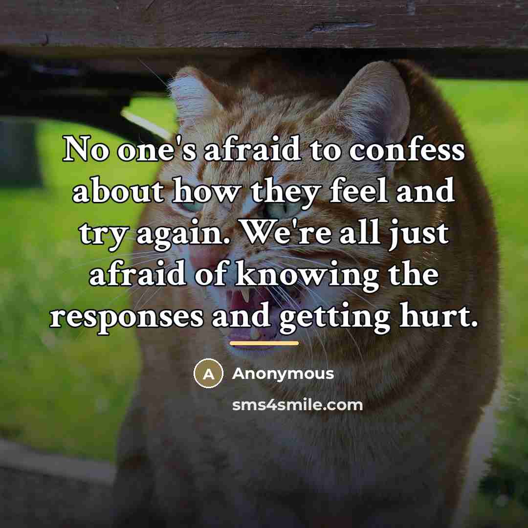 “No one's afraid to confess about how they feel and…” quote by Anonymous