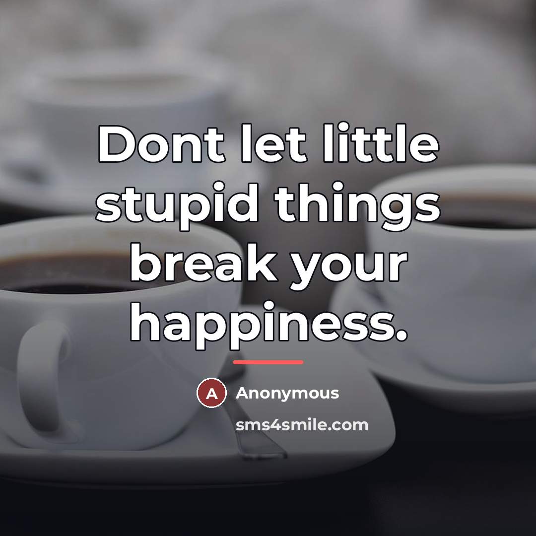 “Dont let little stupid things break your happiness.…” quote by Anonymous
