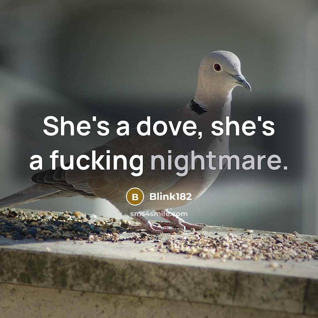 “She's a dove, she's a fucking nightmare.…” quote by Blink182