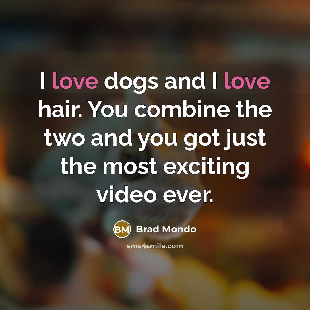 “I love dogs and I love hair. You combine the two and you got just the most exciting video ever.” quote by Brad Mondo