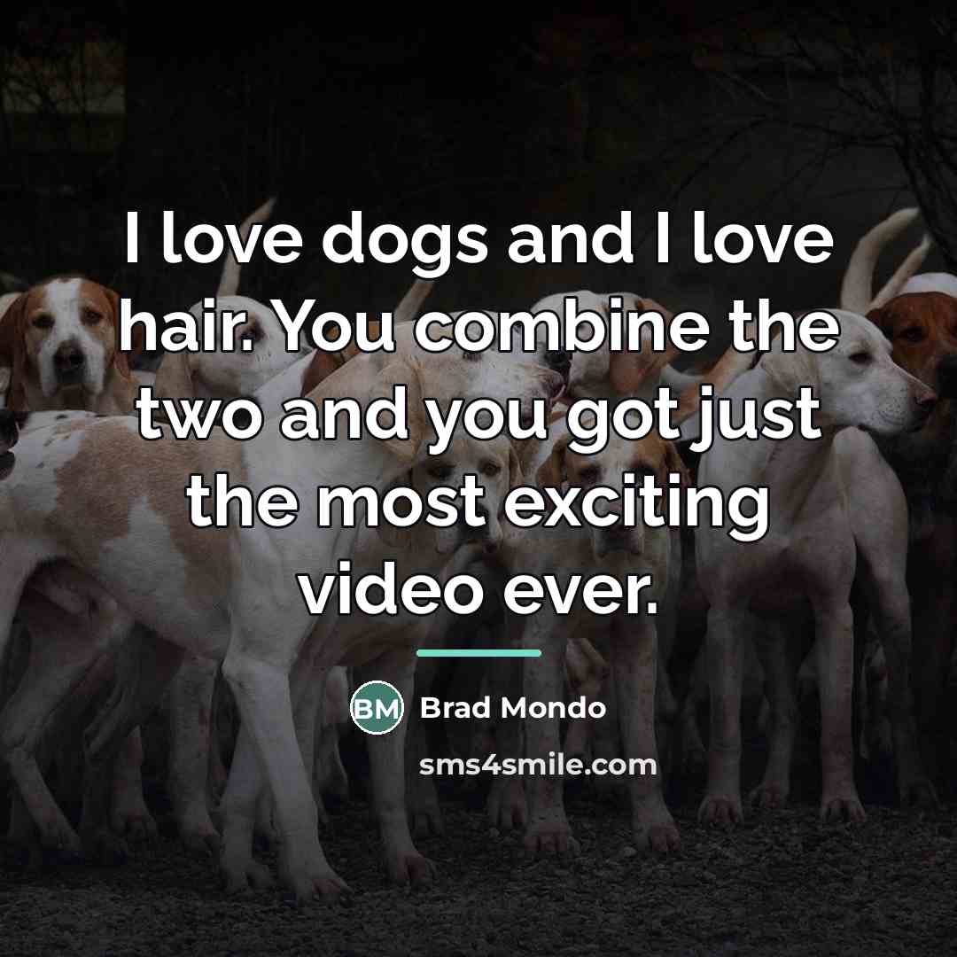 “I love dogs and I love hair. You combine the…” quote by Brad Mondo