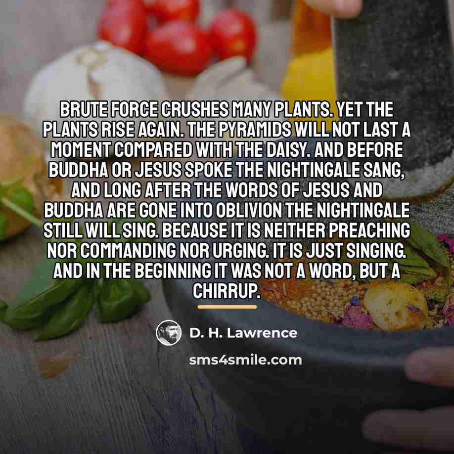 “Brute force crushes many plants. Yet the plants rise again.…” quote by D. H. Lawrence