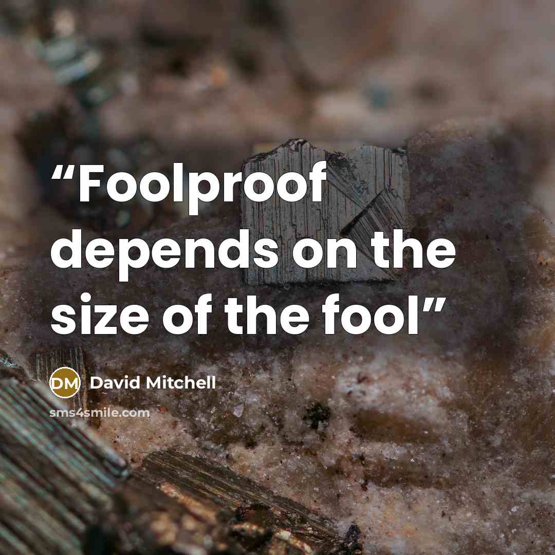“Foolproof depends on the size of the fool” quote by David Mitchell