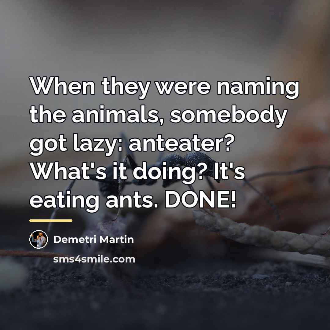 “When they were naming the animals, somebody got lazy: anteater?…” quote by Demetri Martin