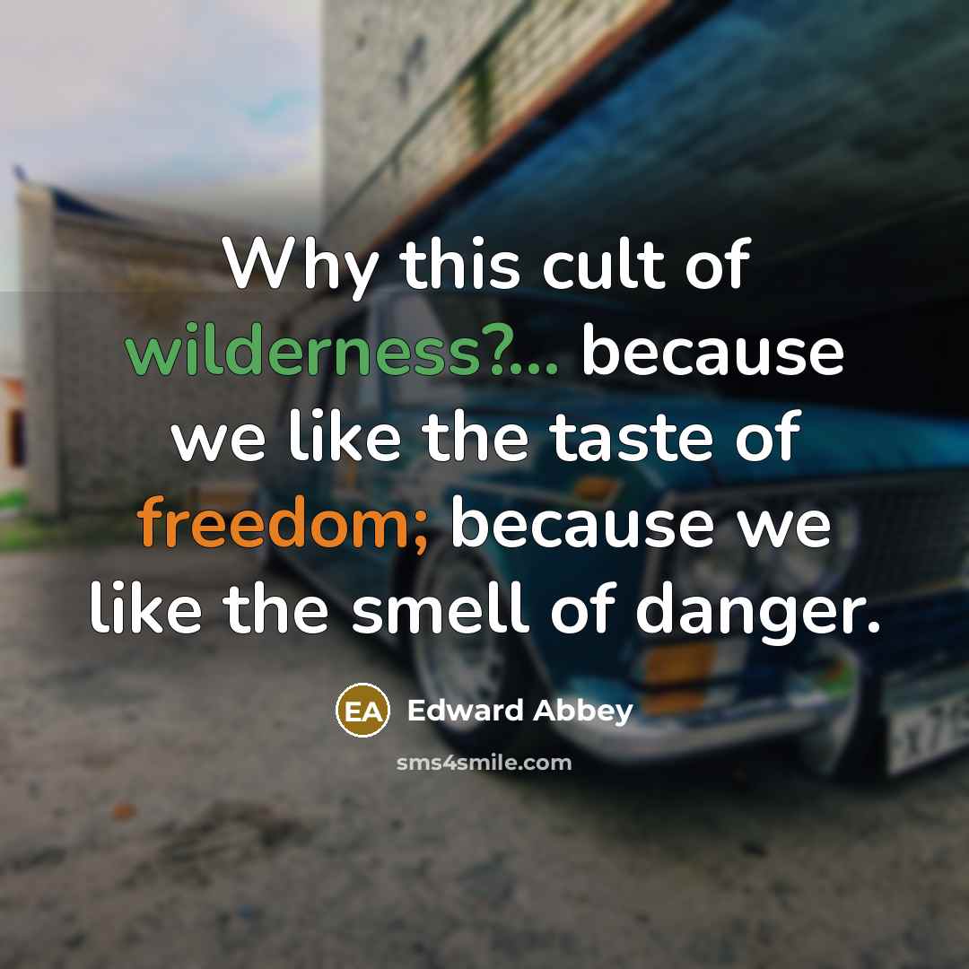 “Why this cult of wilderness?... because we like the taste…” quote by Edward Abbey