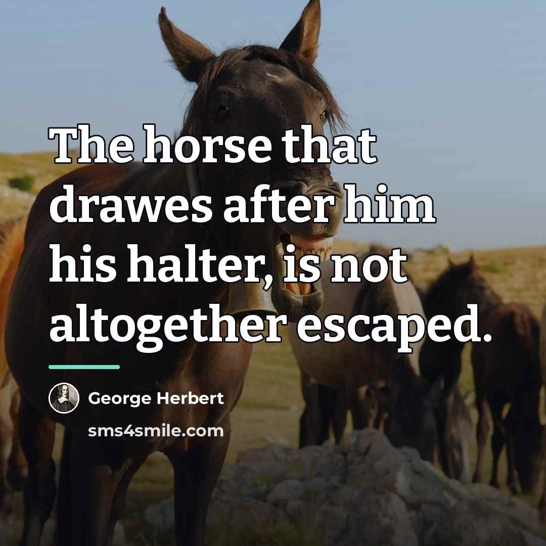 “The horse that drawes after him his halter, is not…” quote by George Herbert