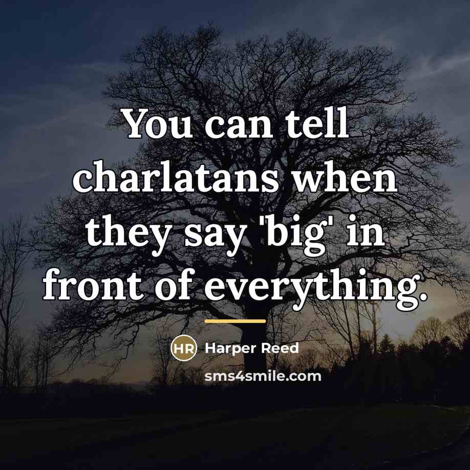 “You can tell charlatans when they say 'big' in front…” quote by Harper Reed