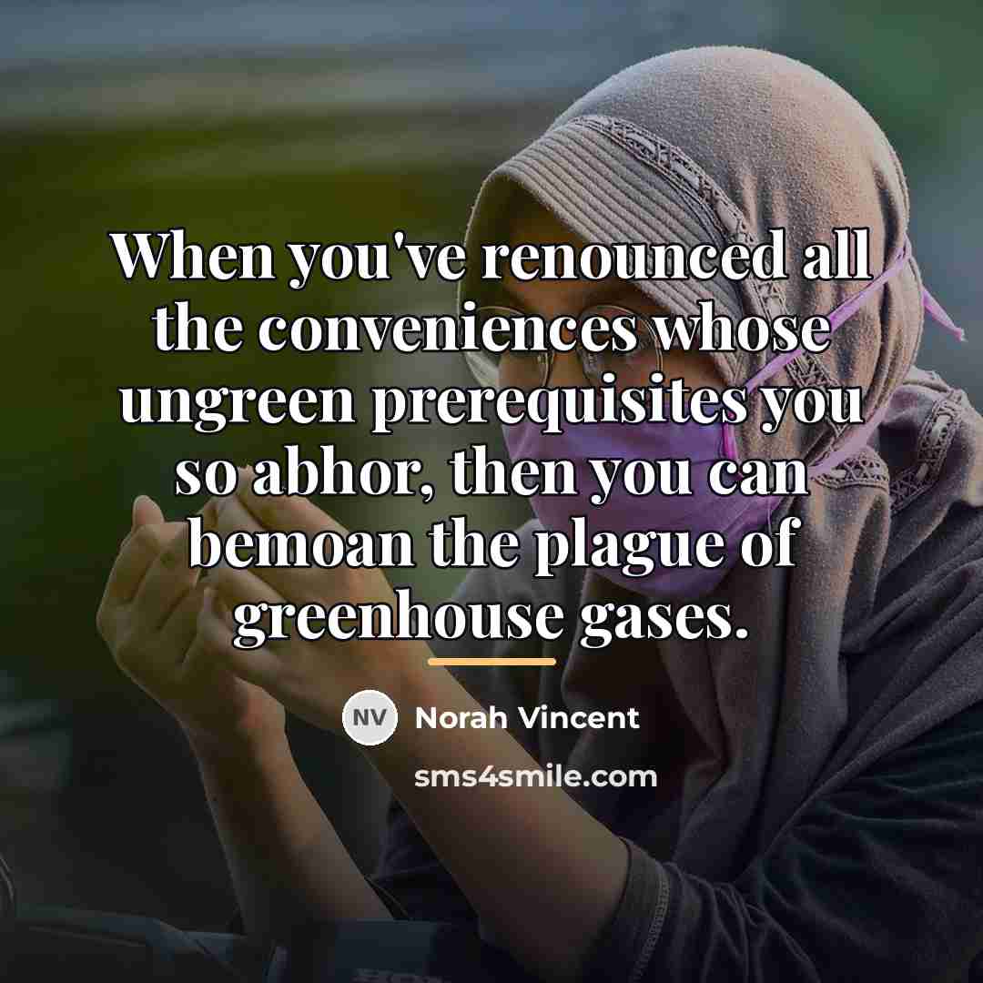 “When you've renounced all the conveniences whose ungreen prerequisites you…” quote by Norah Vincent