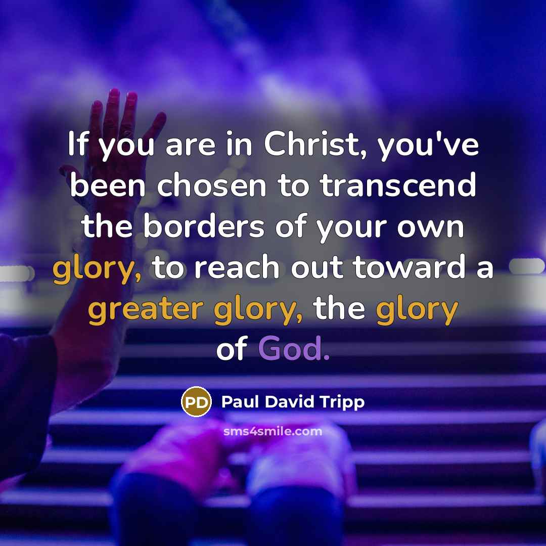 “If you are in Christ, you've been chosen to transcend…” quote by Paul David Tripp