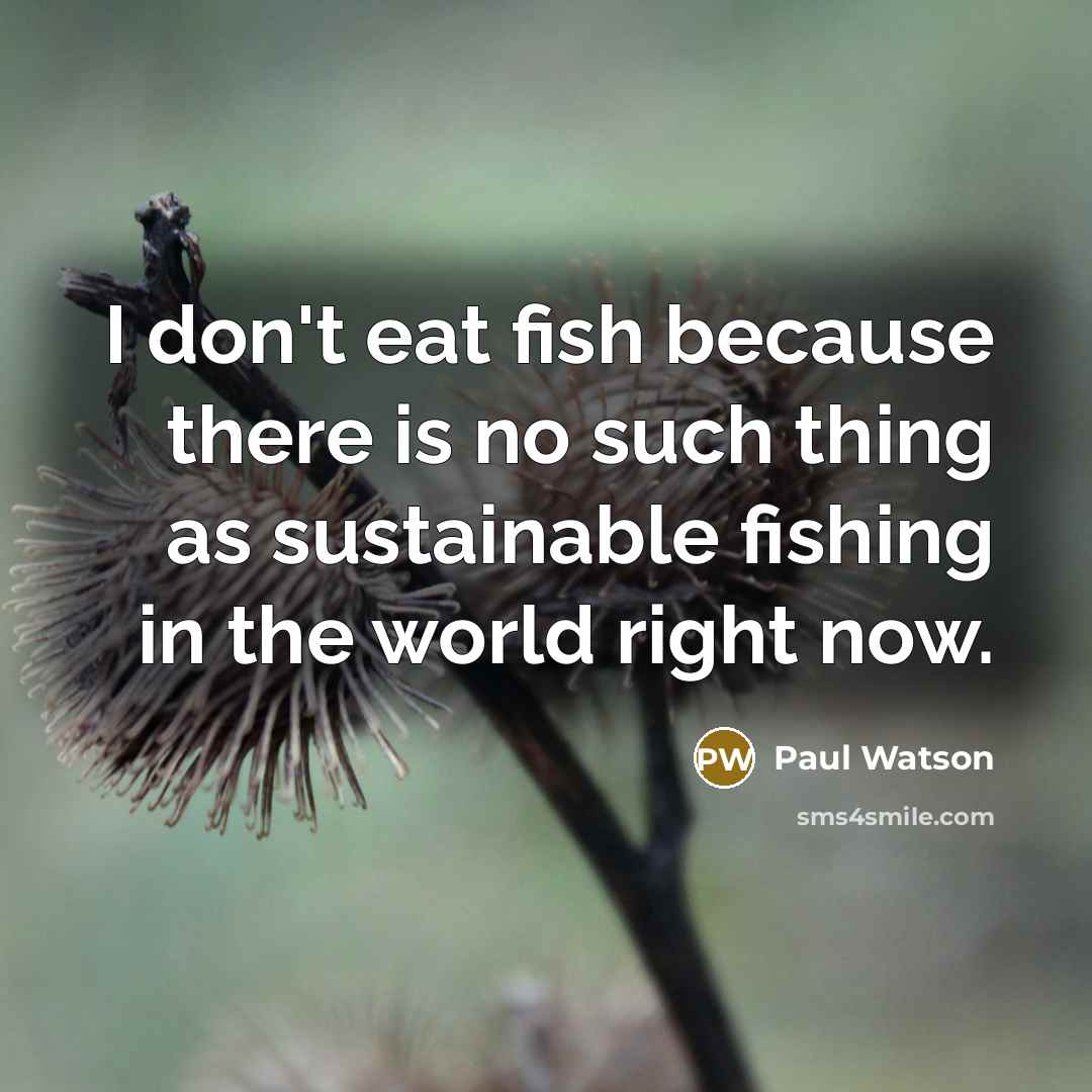 “I don't eat fish because there is no such thing…” quote by Paul Watson