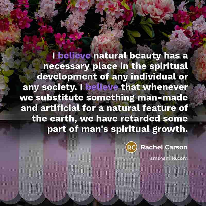 “I believe natural beauty has a necessary place in the…” quote by Rachel Carson