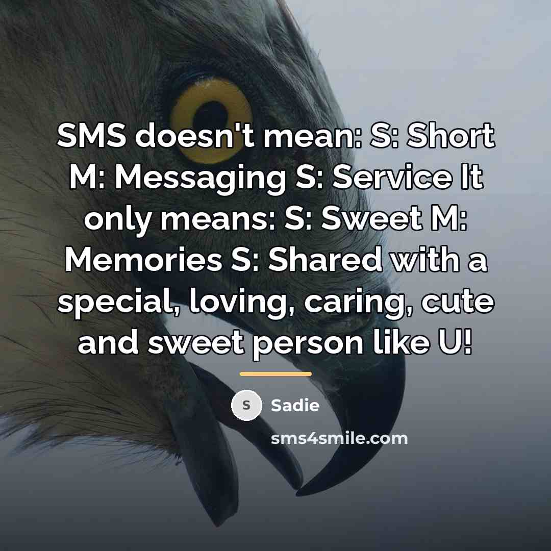 “SMS doesn't mean: S: Short M: Messaging S: Service It…” quote by Sadie