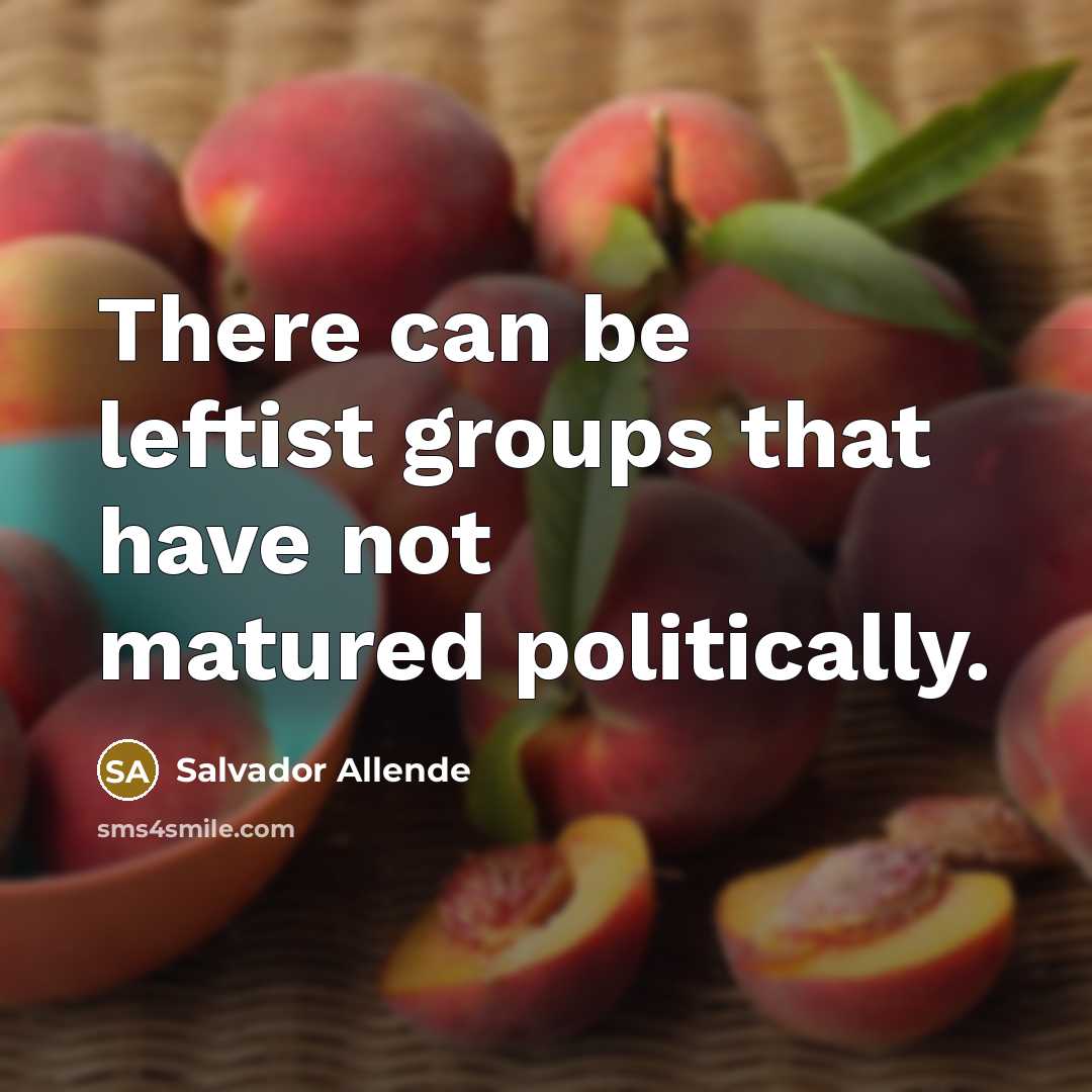 “There can be leftist groups that have not matured politically.…” quote by Salvador Allende