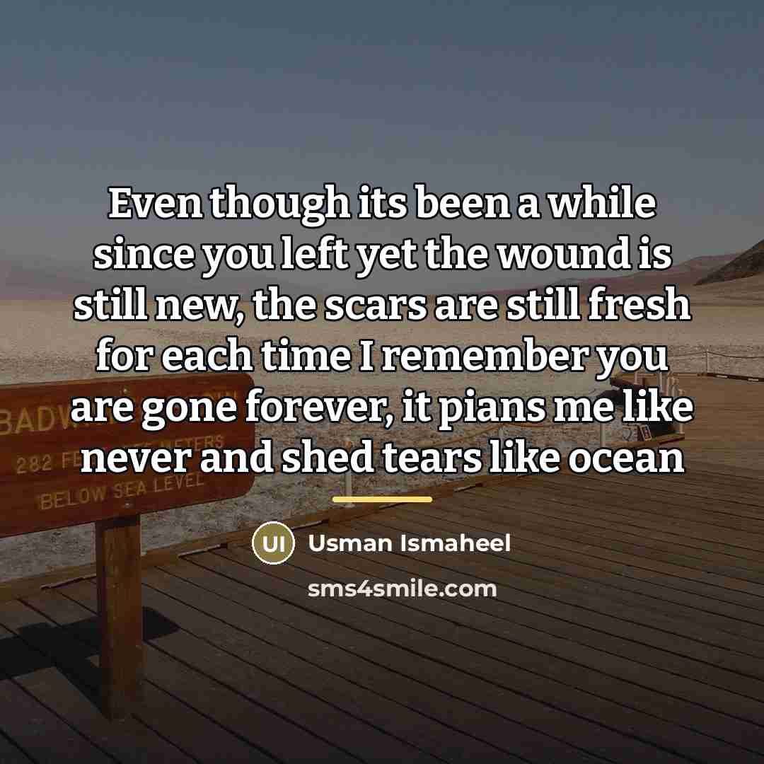 “Even though its been a while since you left yet…” quote by Usman Ismaheel