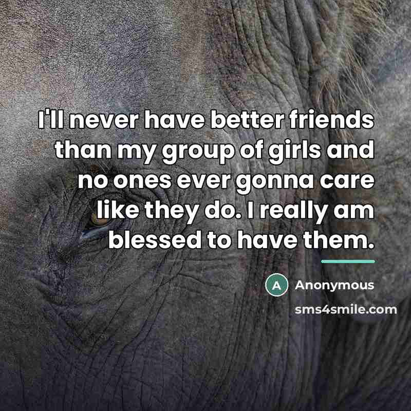 “I'll never have better friends than my group of girls…” quote by Anonymous