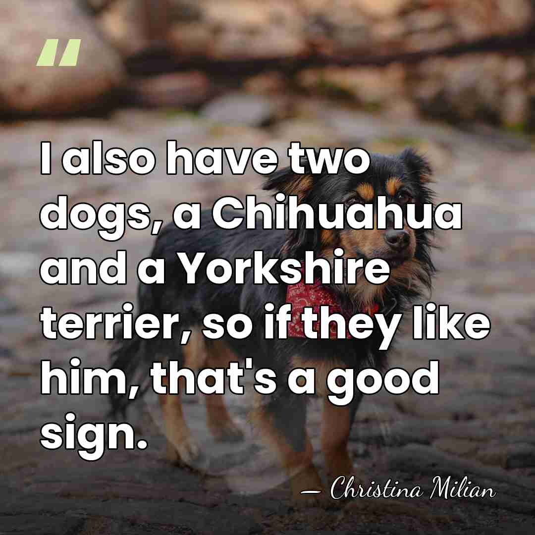 I also have two dogs, a Chihuahua and a Yorkshire terrier, so&hellip; - Christina Milian