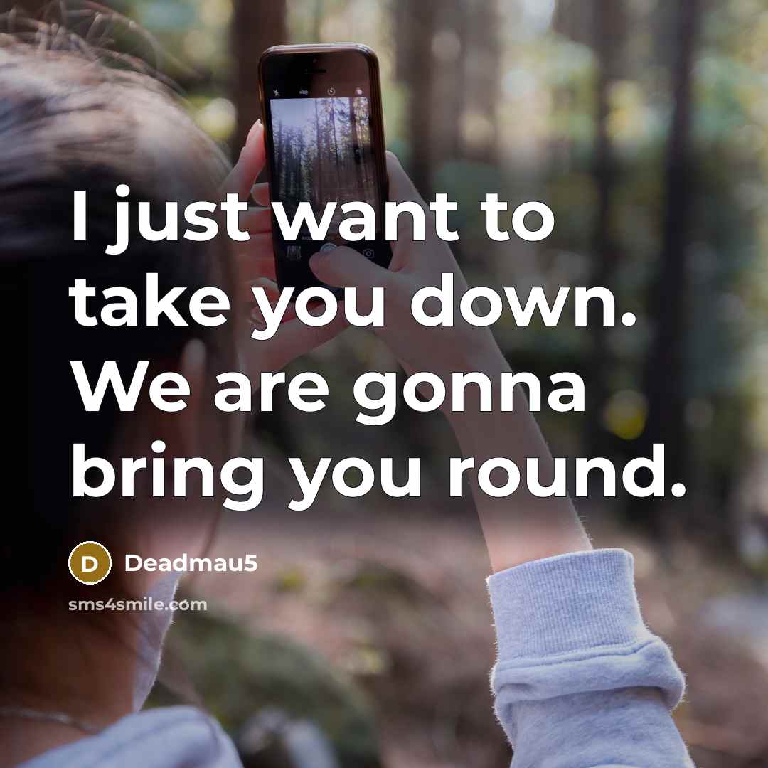 “I just want to take you down. We are gonna bring you round.” quote by Deadmau5