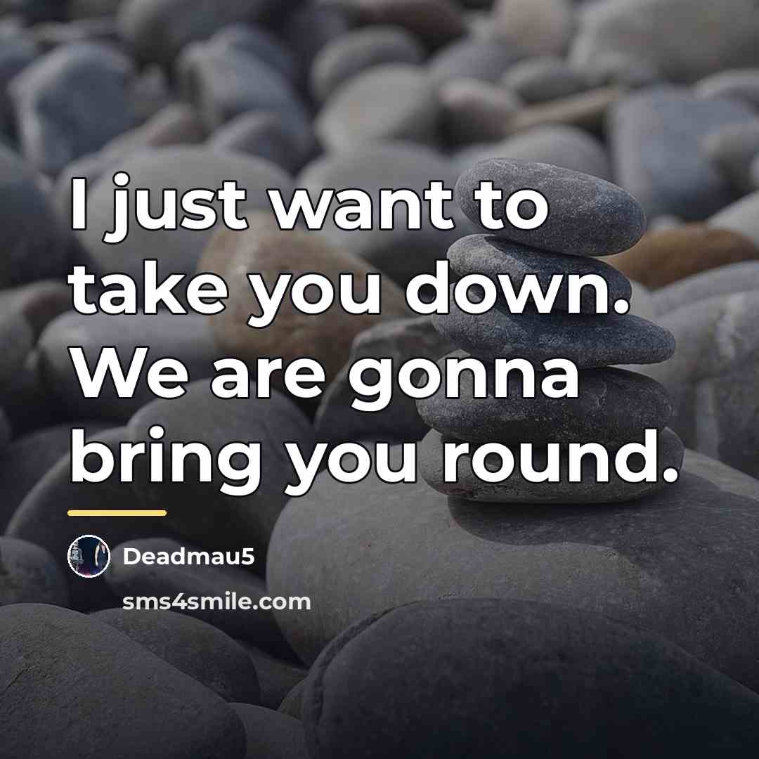 “I just want to take you down. We are gonna…” quote by Deadmau5