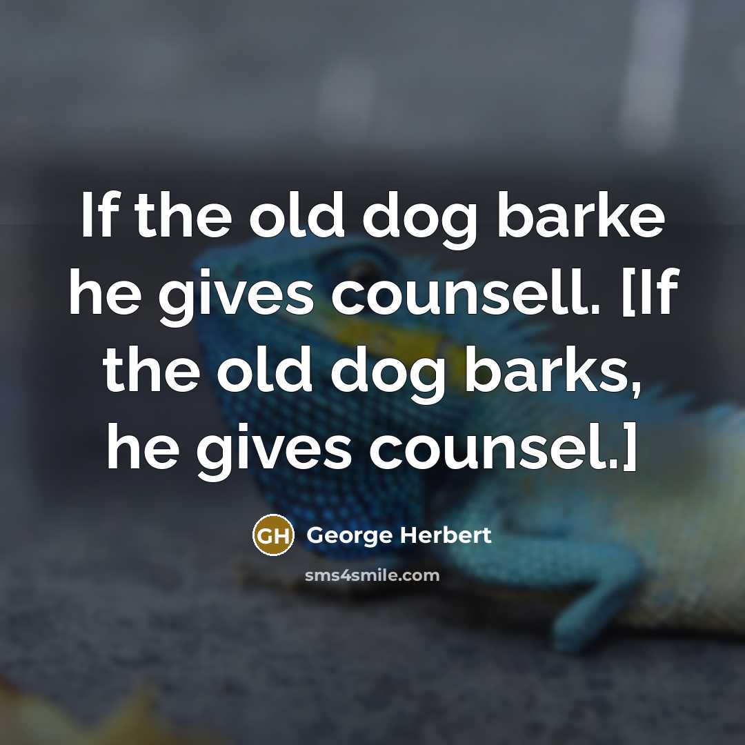“If the old dog barke he gives counsell. [If the old dog barks, he gives counsel.]” quote by George Herbert
