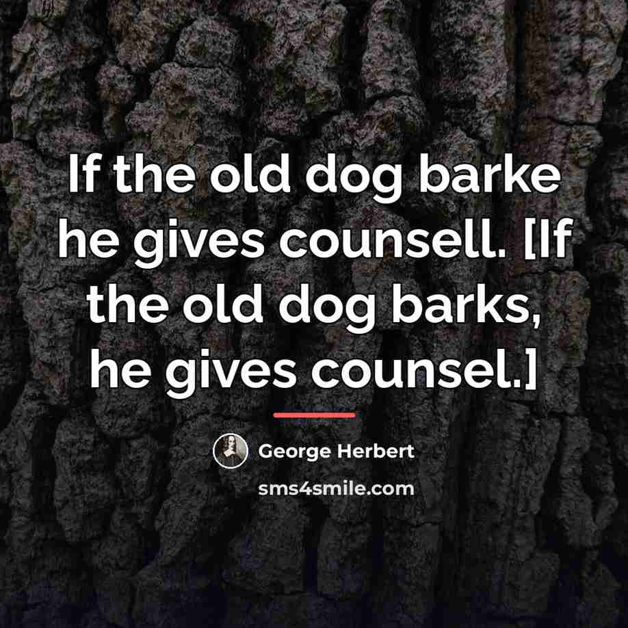 “If the old dog barke he gives counsell. [If the…” quote by George Herbert