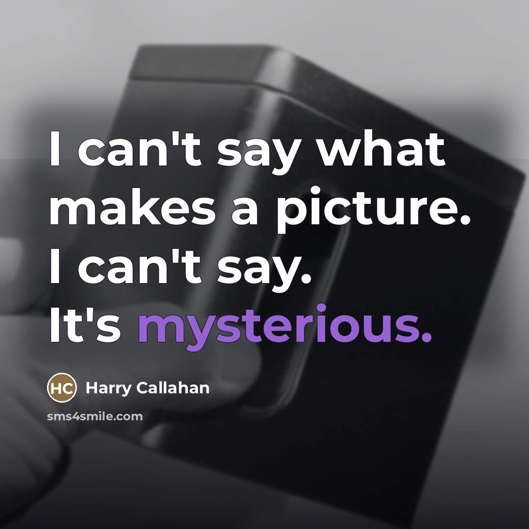 “I can't say what makes a picture. I can't say.…” quote by Harry Callahan