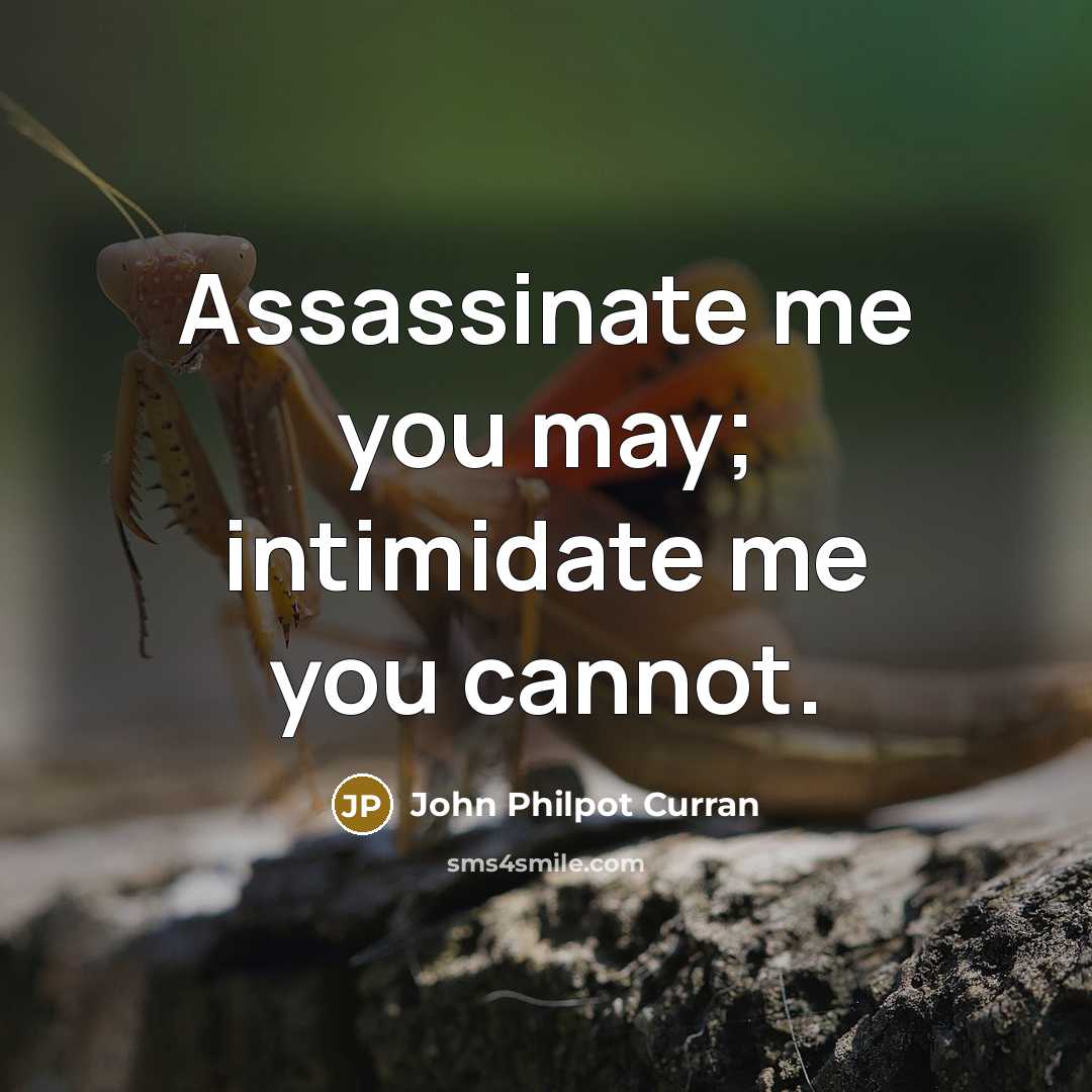 “Assassinate me you may; intimidate me you cannot.…” quote by John Philpot Curran