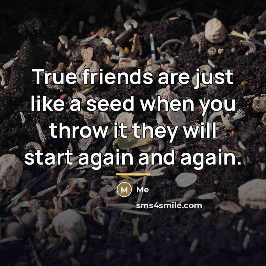 “True friends are just like a seed when you throw…” quote by Me