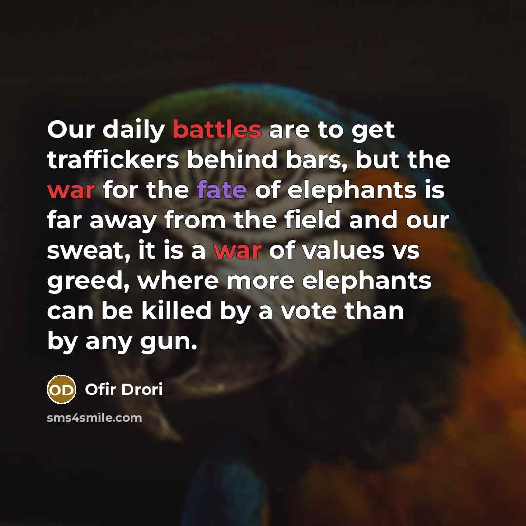 “Our daily battles are to get traffickers behind bars, but the war for the fate of elephants is far away from the field and our sweat, it is a war of values vs greed, where more elephants can be killed by a vote than by any gun.” quote by Ofir Drori