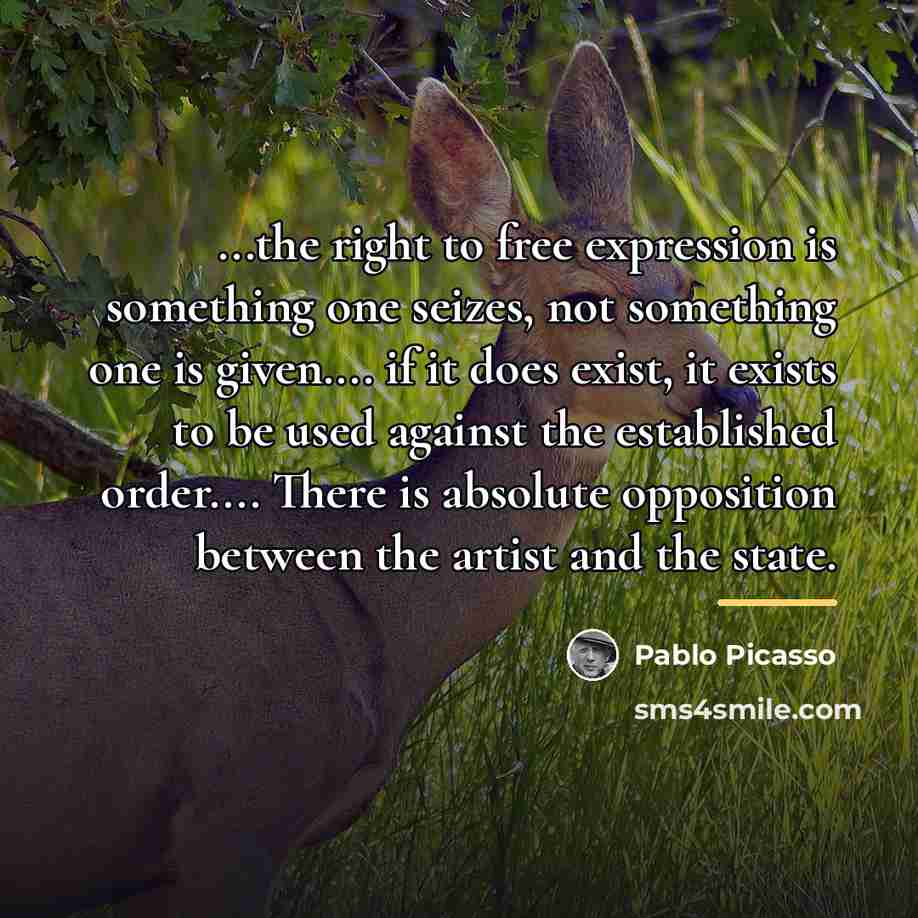“...the right to free expression is something one seizes, not…” quote by Pablo Picasso
