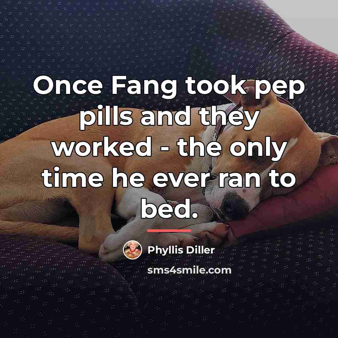 “Once Fang took pep pills and they worked - the…” quote by Phyllis Diller