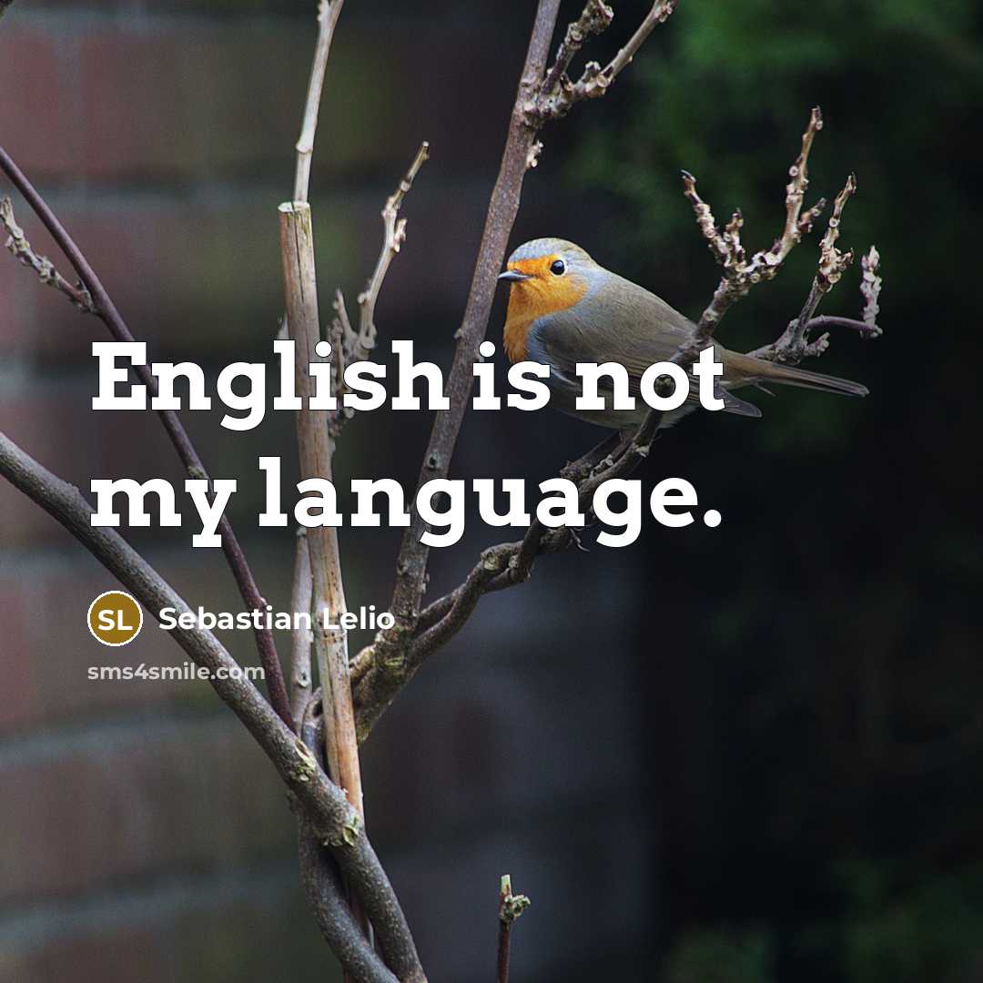 “English is not my language.…” quote by Sebastian Lelio