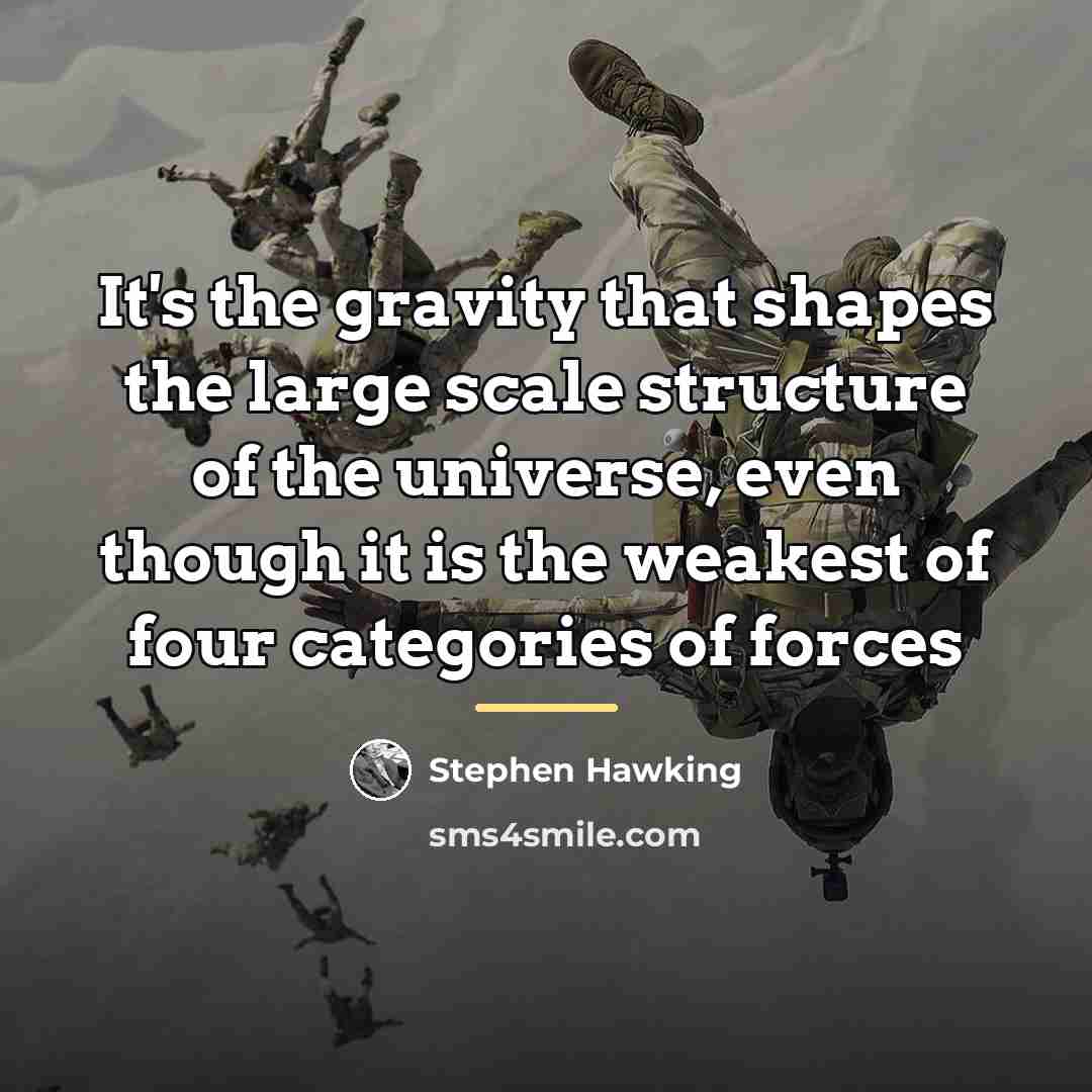 “It's the gravity that shapes the large scale structure of…” quote by Stephen Hawking