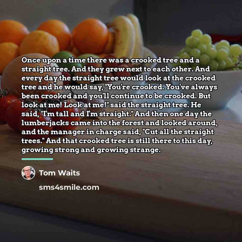“Once upon a time there was a crooked tree and…” quote by Tom Waits