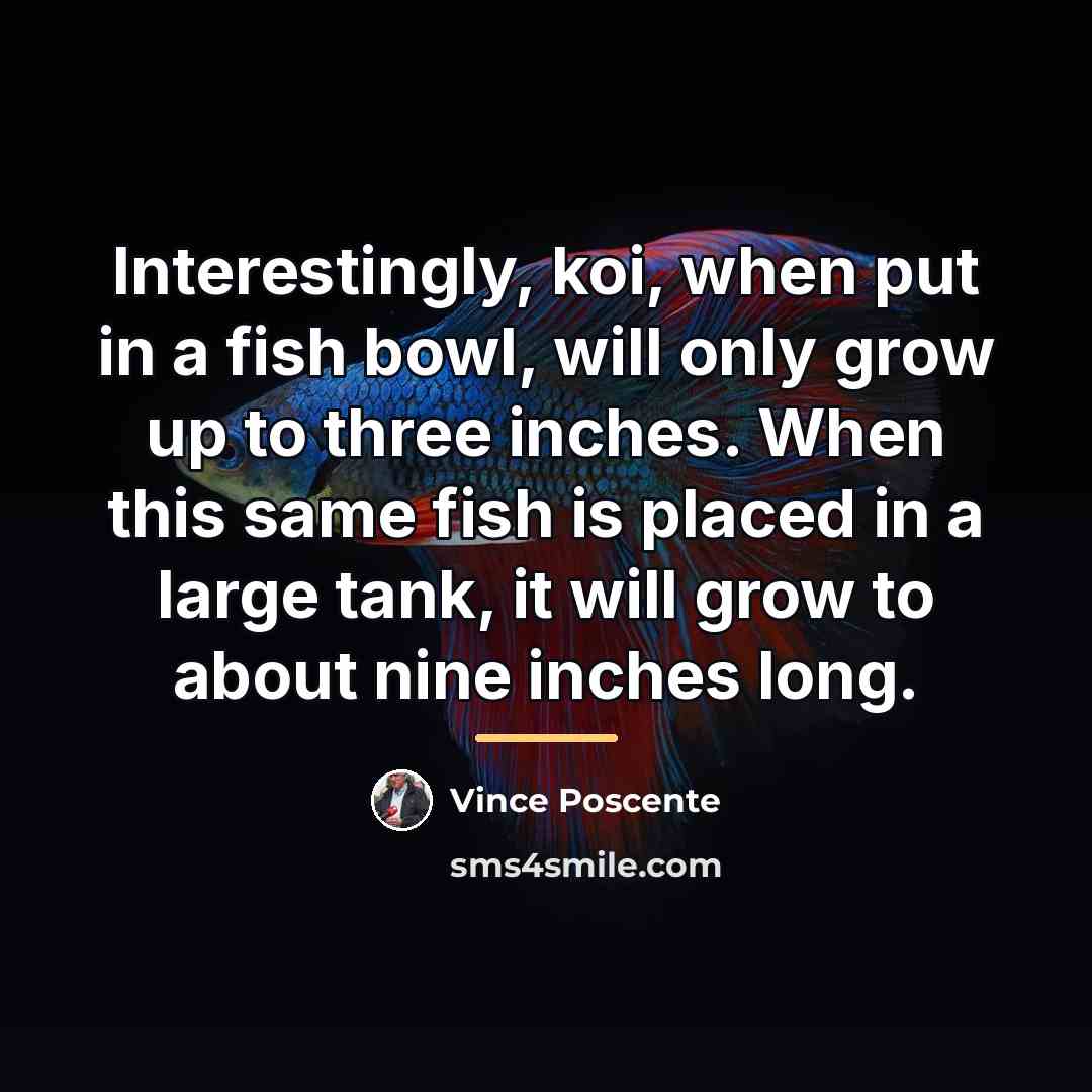“Interestingly, koi, when put in a fish bowl, will only…” quote by Vince Poscente