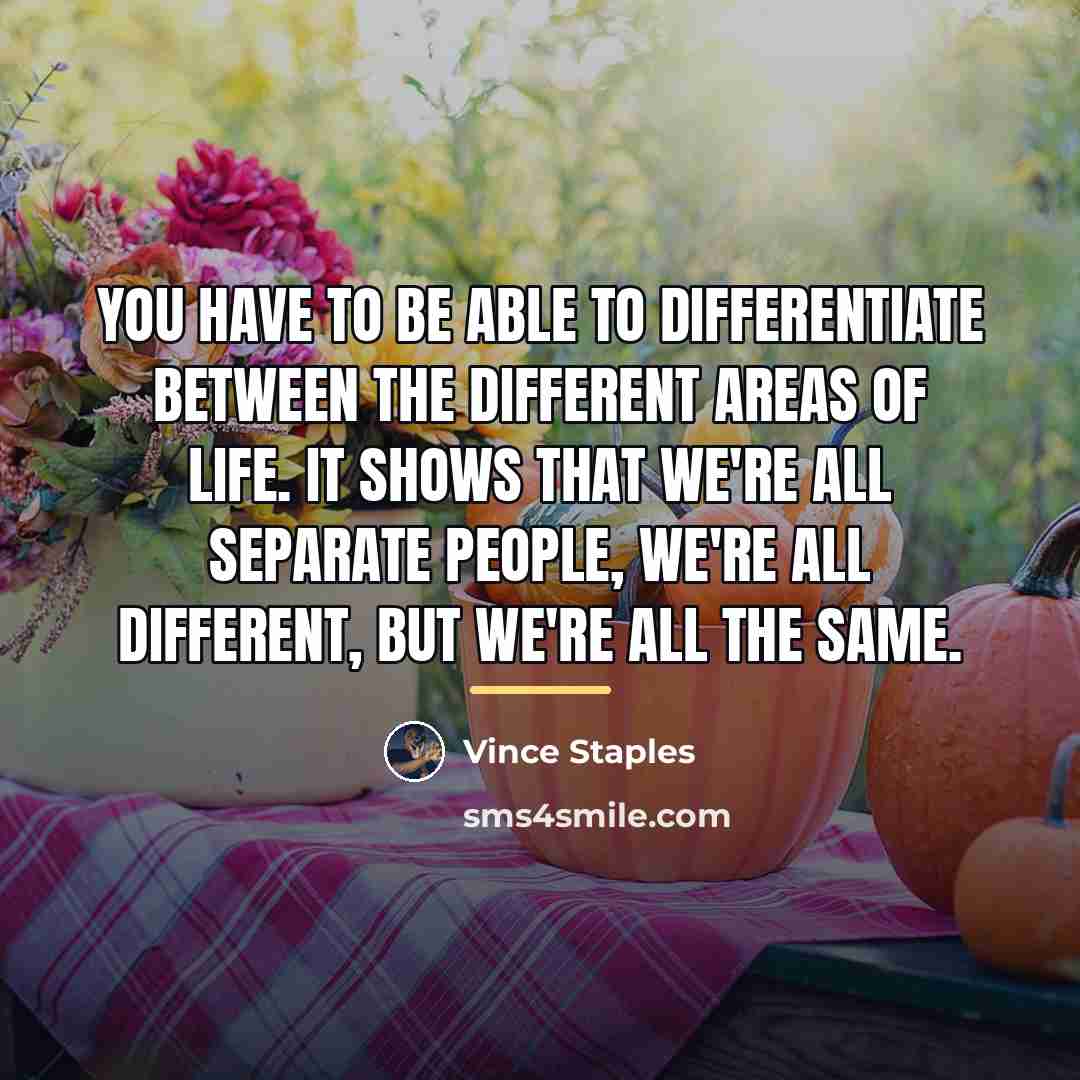 “You have to be able to differentiate between the different…” quote by Vince Staples