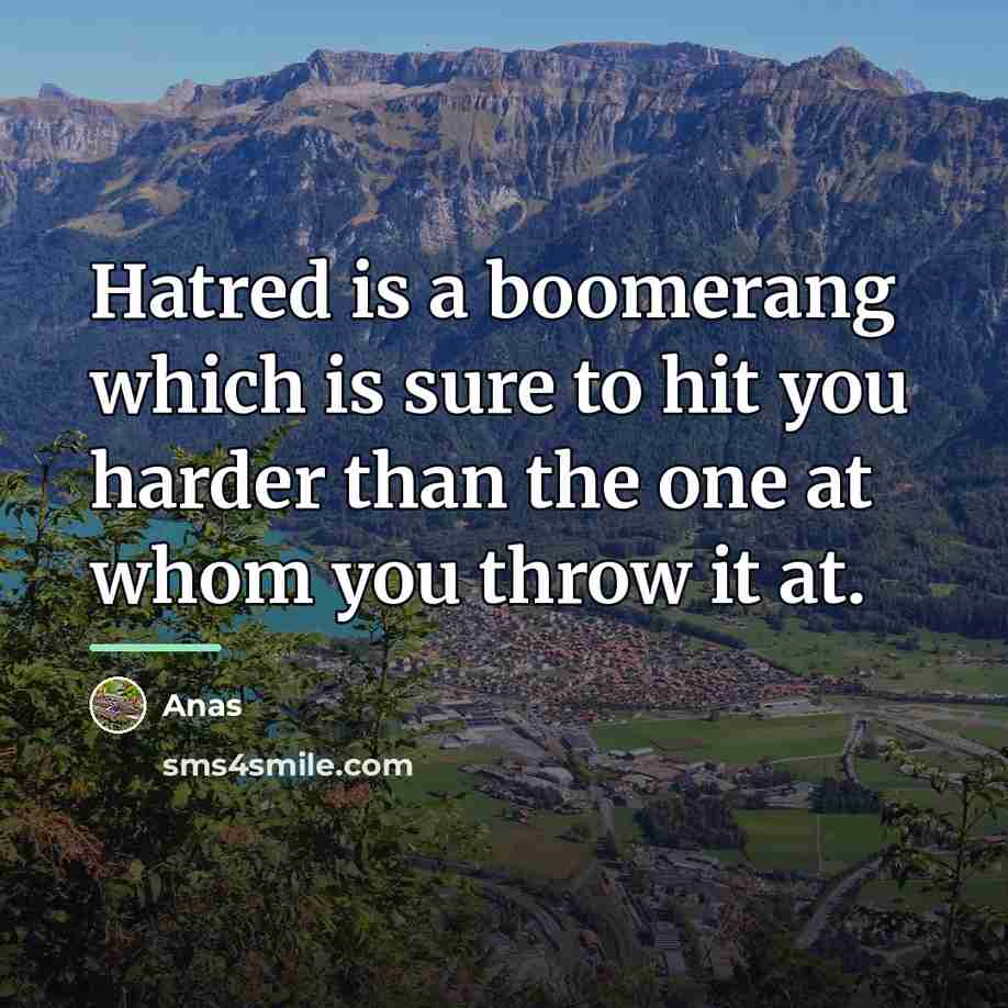“Hatred is a boomerang which is sure to hit you…” quote by Anas