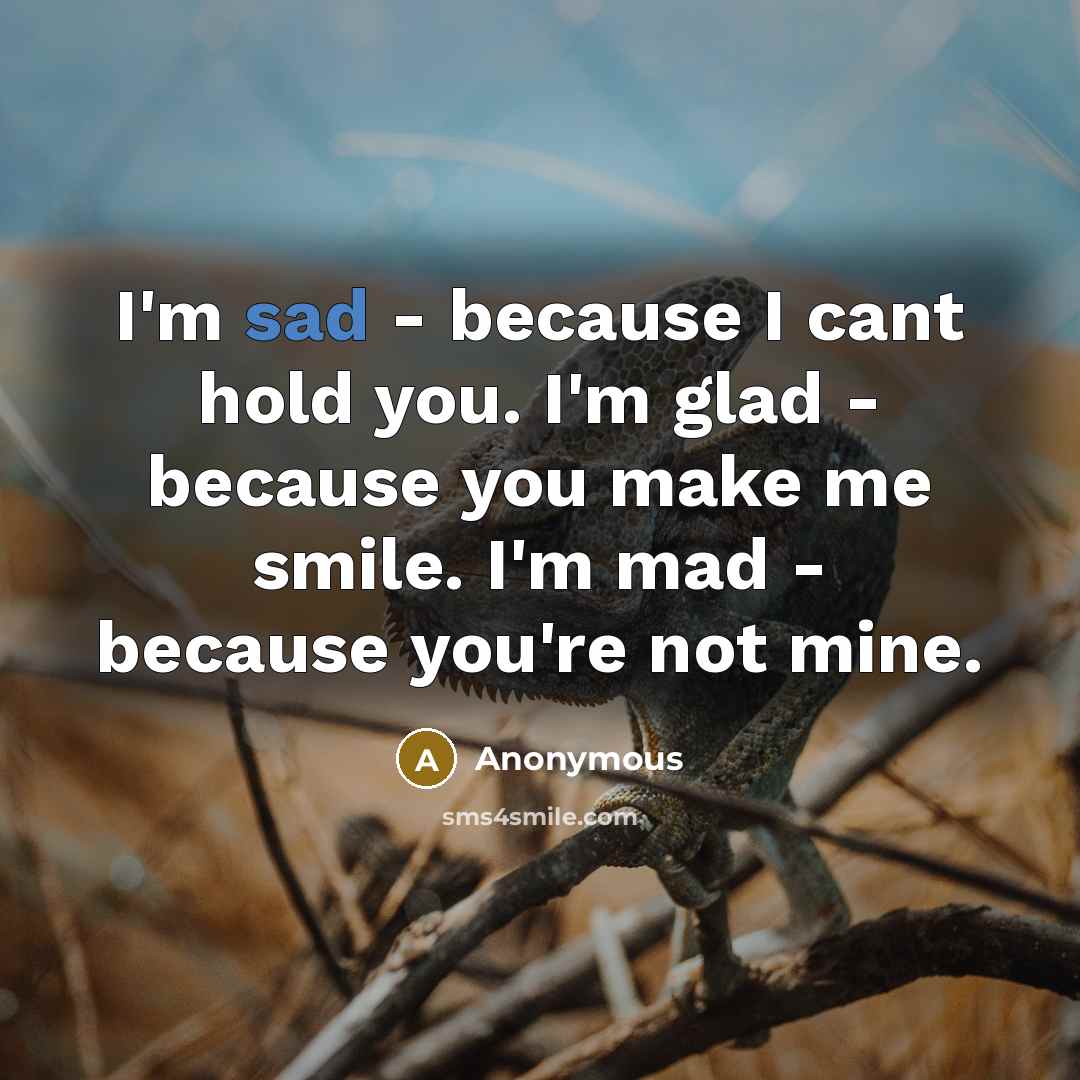 “I'm sad - because I cant hold you. I'm glad - because you make me smile. I'm mad - because you're not mine.” quote by Anonymous