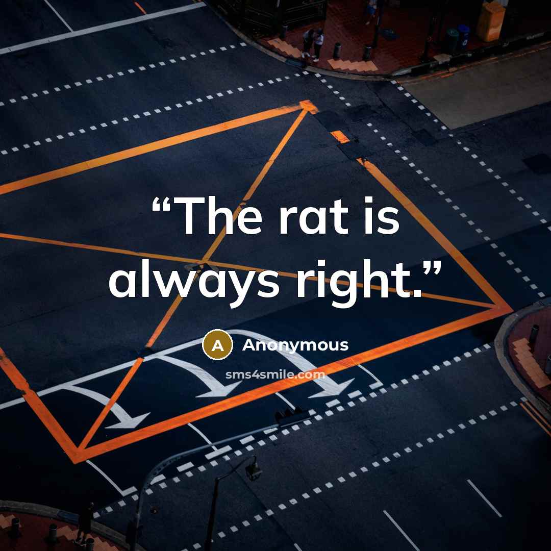 “The rat is always right.” quote by Anonymous