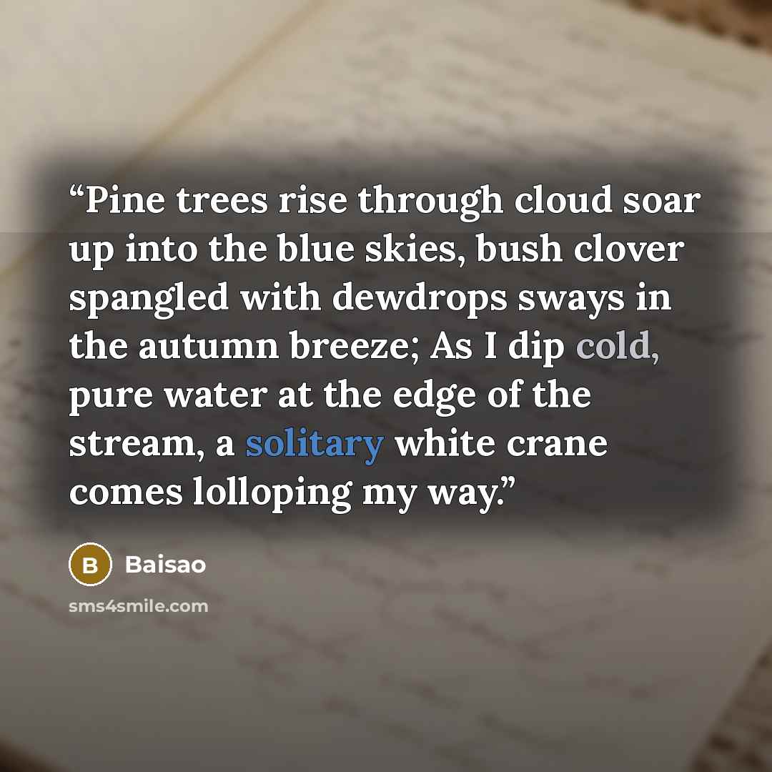 “Pine trees rise through cloud soar up into the blue skies, bush clover spangled with dewdrops sways in the autumn breeze; As I dip cold, pure water at the edge of the stream, a solitary white crane comes lolloping my way.” quote by Baisao
