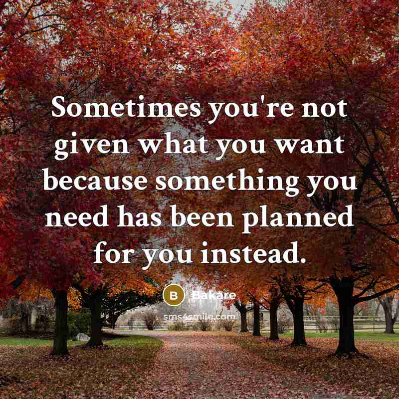 “Sometimes you're not given what you want because something you…” quote by Bakare