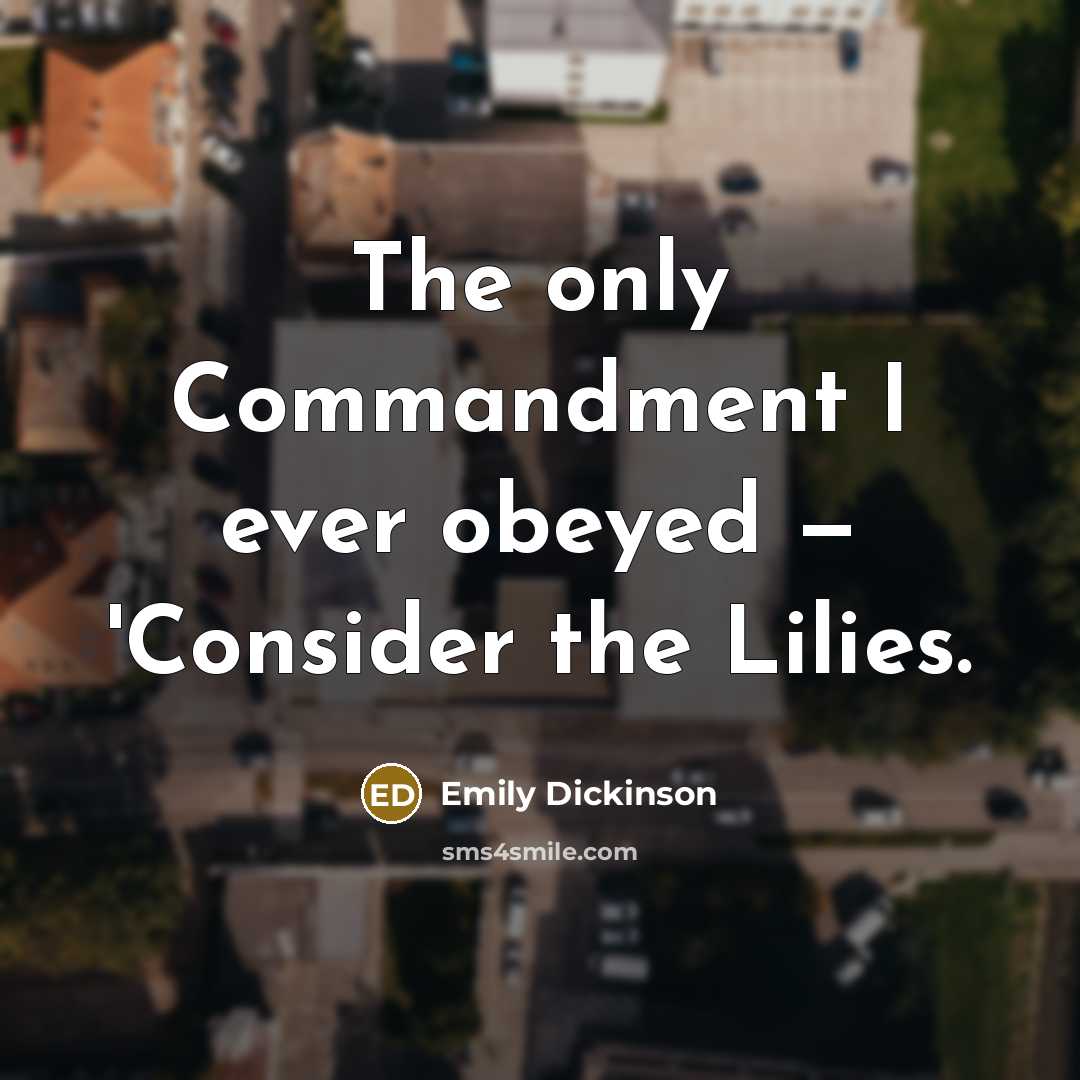 “The only Commandment I ever obeyed — 'Consider the Lilies.…” quote by Emily Dickinson