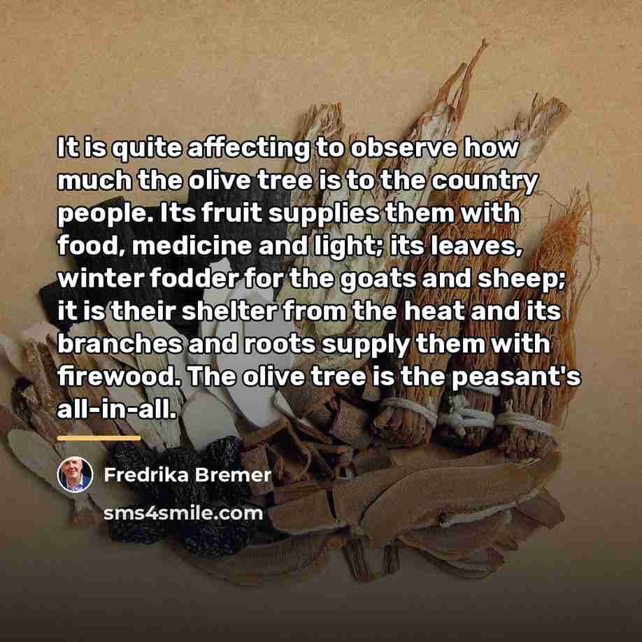 “It is quite affecting to observe how much the olive…” quote by Fredrika Bremer