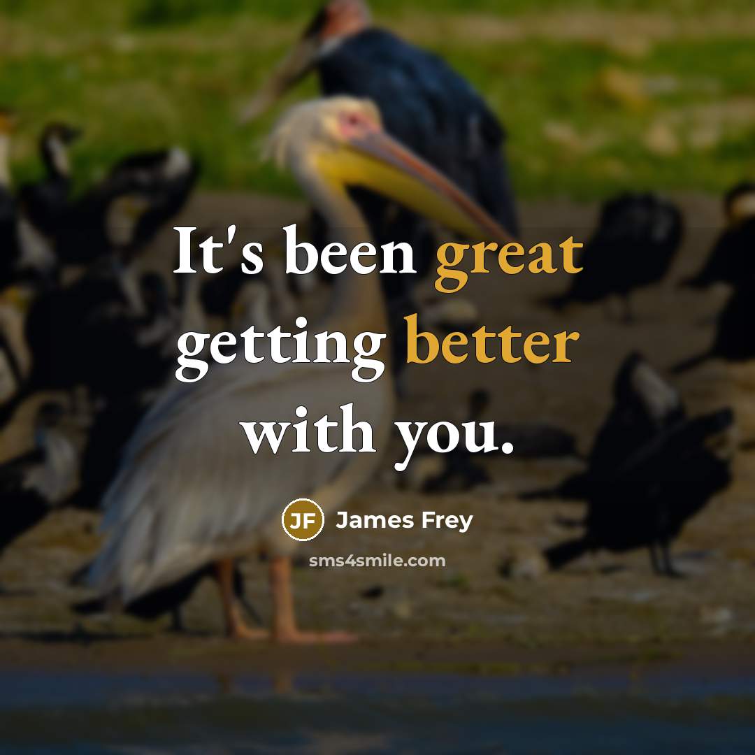“It's been great getting better with you.” quote by James Frey