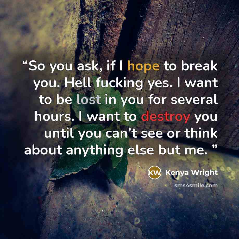 “So you ask, if I hope to break you. Hell fucking yes. I want to be lost in you for several hours. I want to destroy you until you can’t see or think about anything else but me.” quote by Kenya Wright