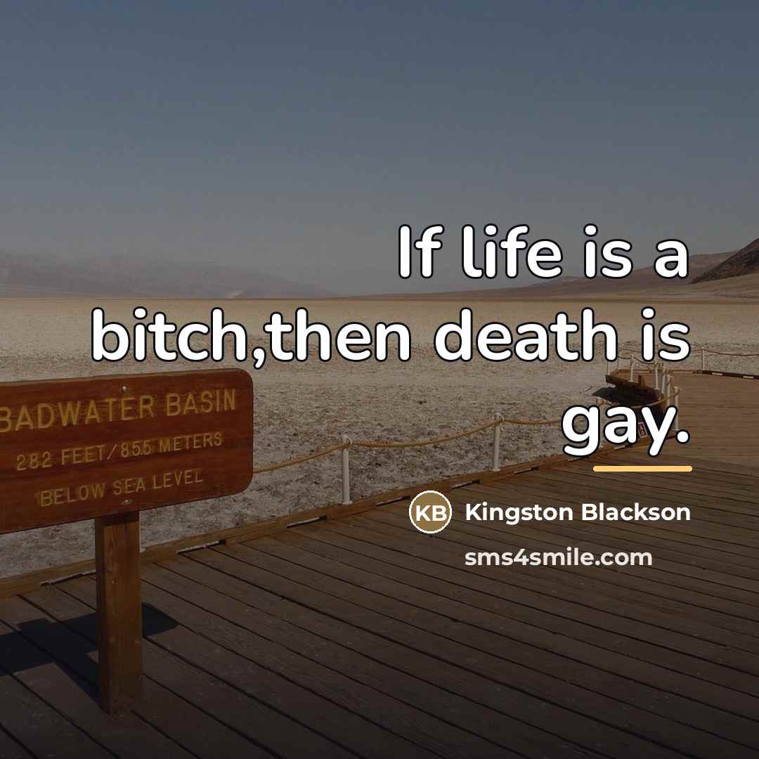 “If life is a bitch,then death is gay.…” quote by Kingston Blackson