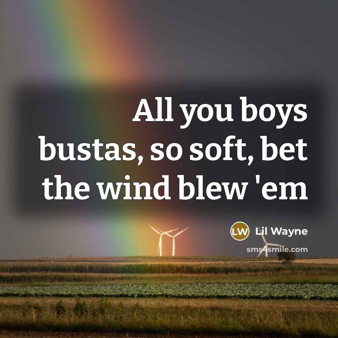 “All you boys bustas, so soft, bet the wind blew…” quote by Lil Wayne