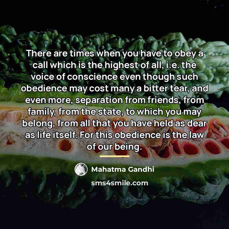 “There are times when you have to obey a call…” quote by Mahatma Gandhi