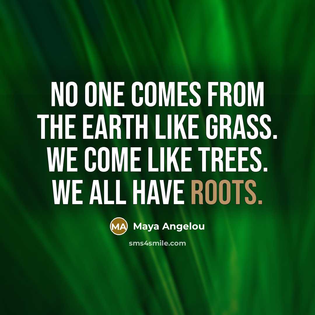 “No one comes from the earth like grass. We come…” quote by Maya Angelou