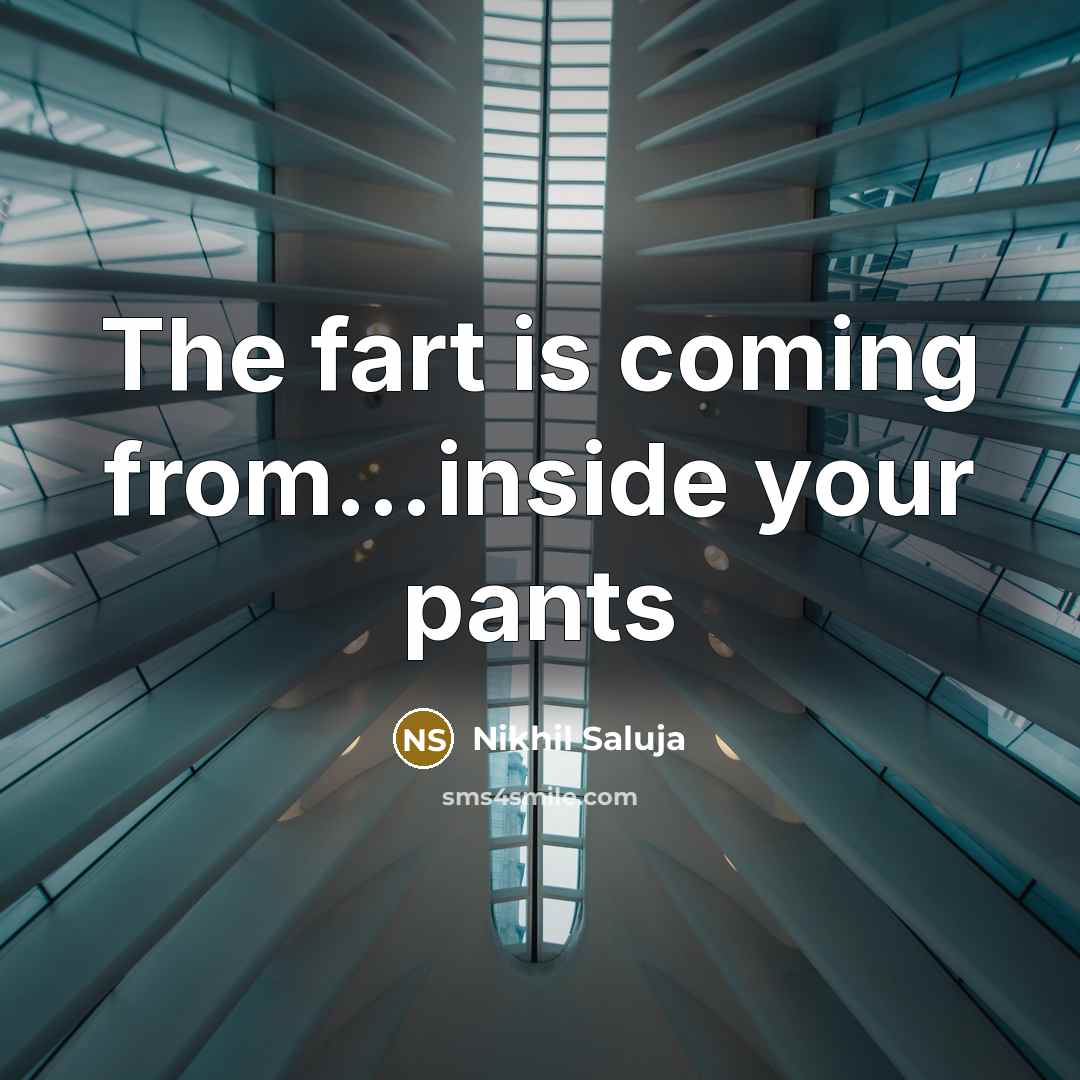 “The fart is coming from....inside your pants…” quote by Nikhil Saluja